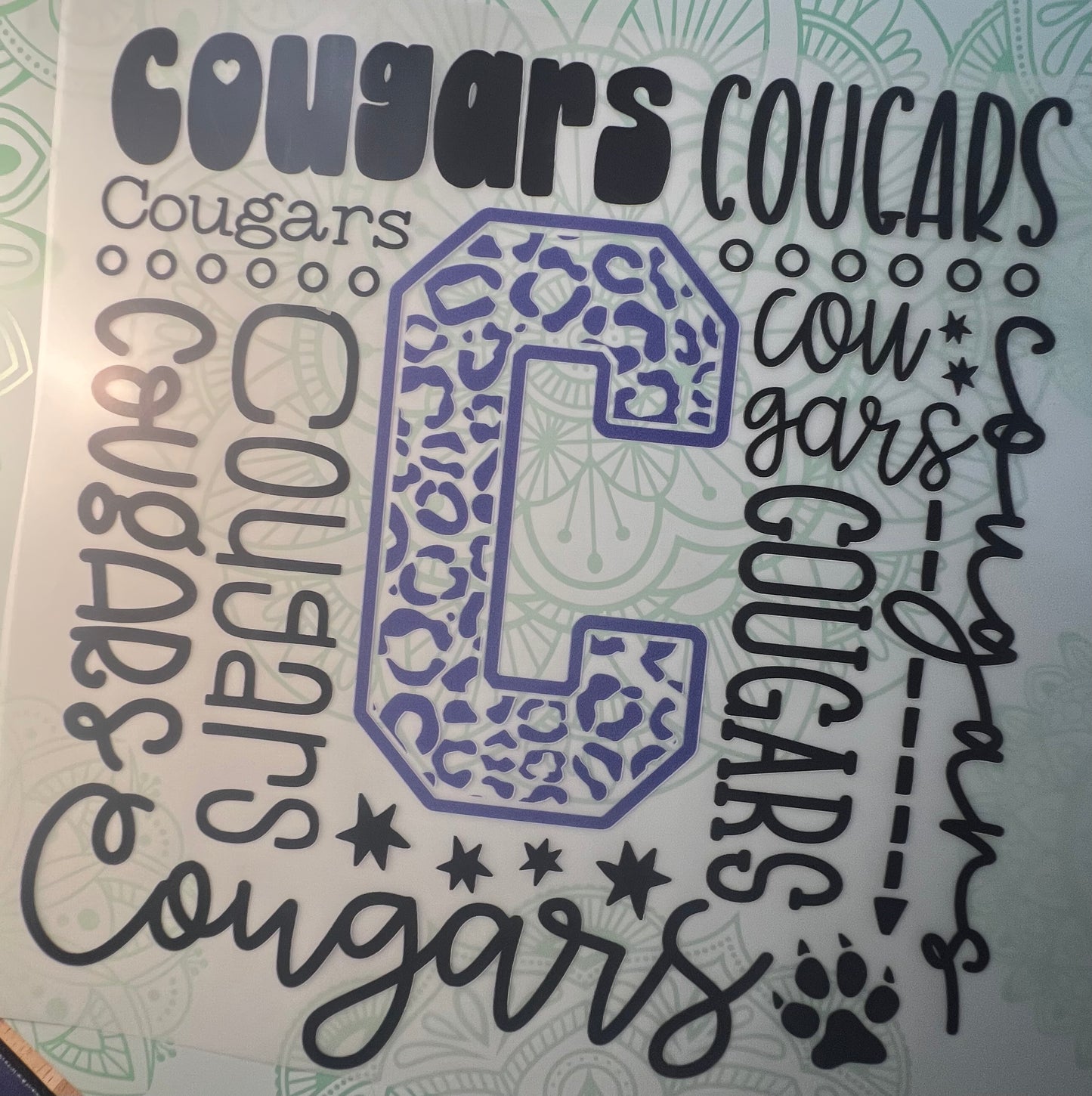 Cougars Heat Transfer