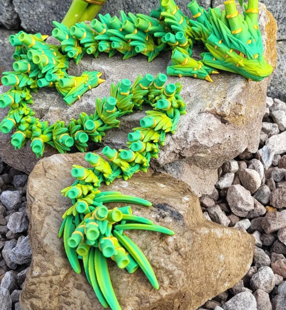 Bamboo Dragon