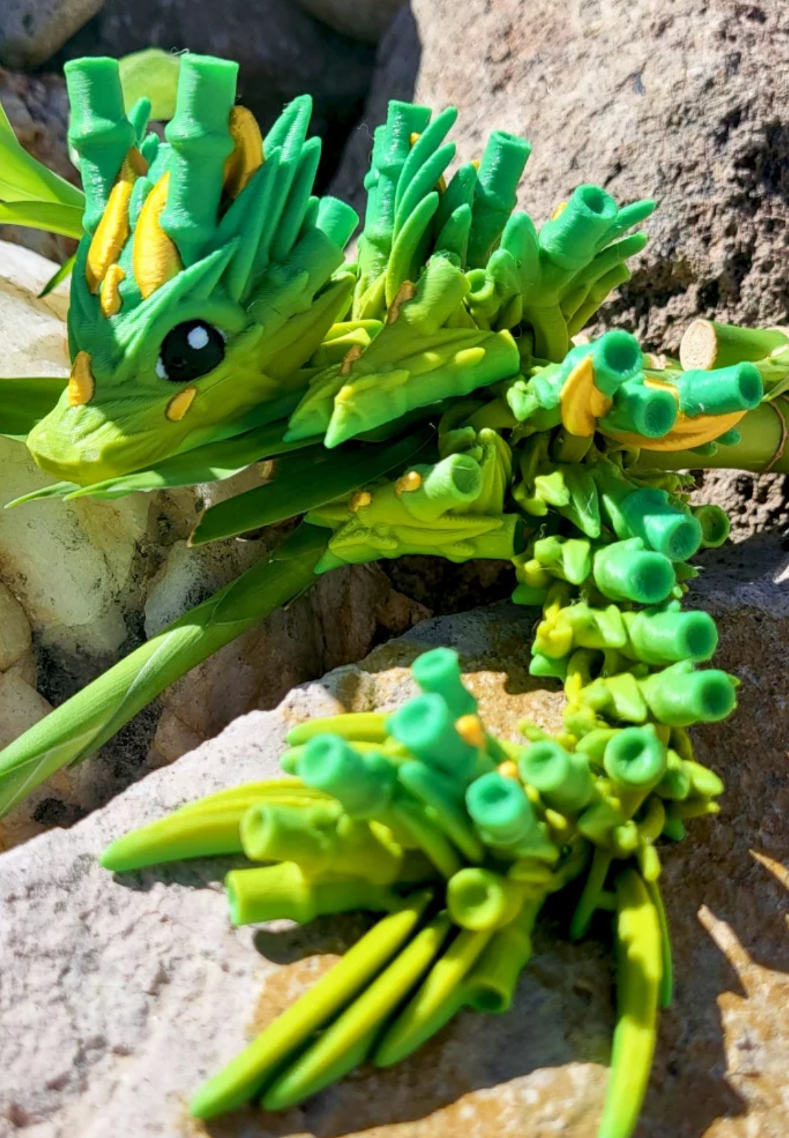 Bamboo Dragon
