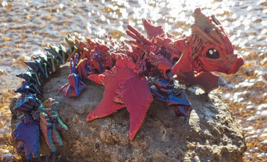 Ocean Dragon