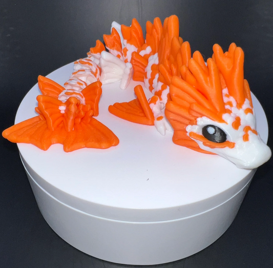 Koi Dragon